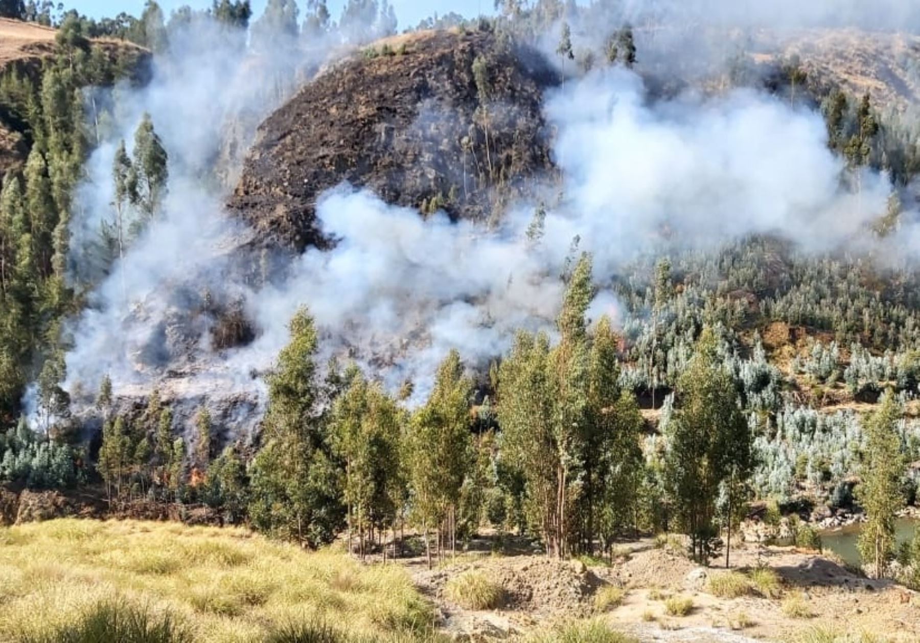 Alerta en Áncash por 8 incendios forestales y 2 urbanos reportados en últimas 72 horas, informó el Centro de Operaciones de Emergencia Regional (COER).