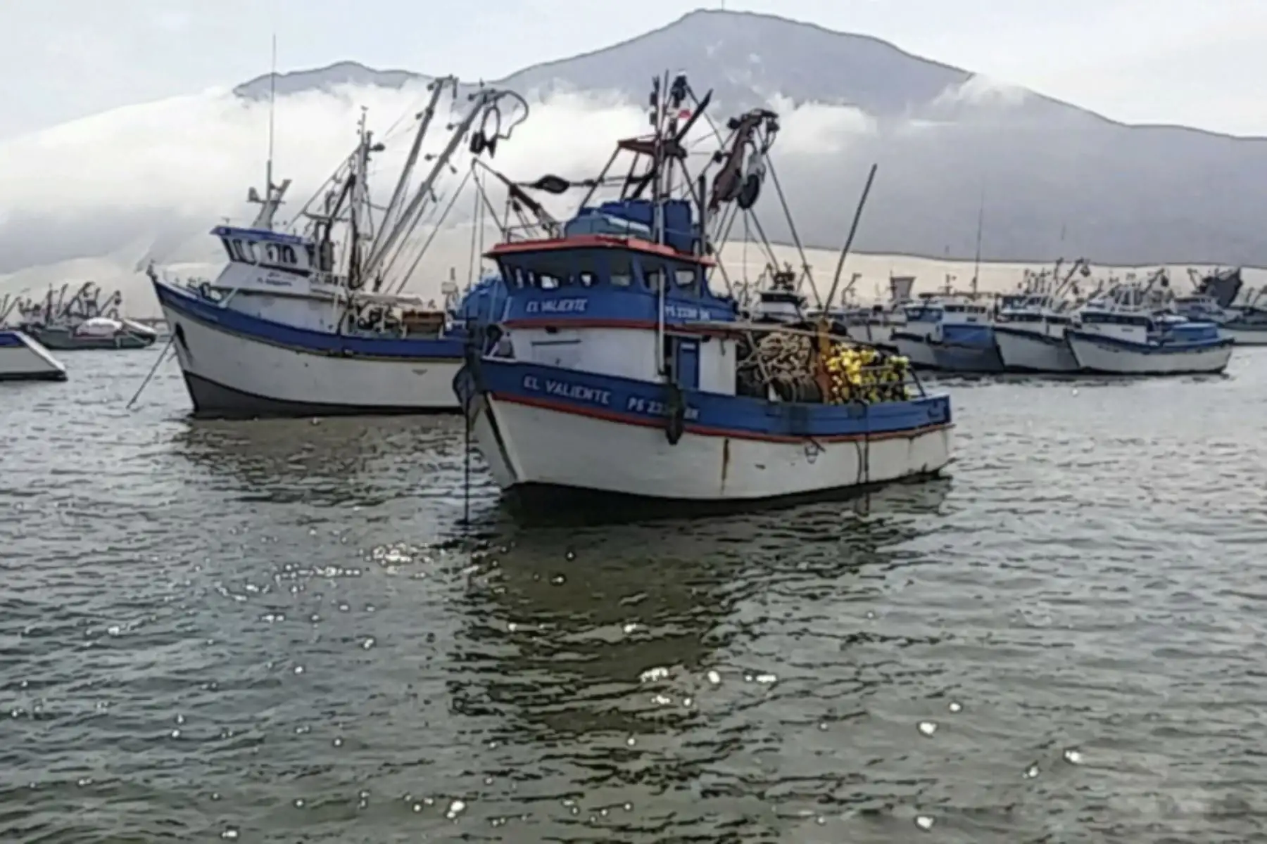 Foto: ANDINA/difusión.