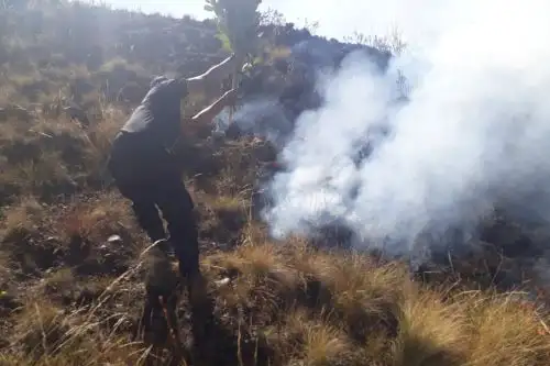 El COER Áncash ha reportado dos incendios forestales en la sierra de la región. Foto: ANDINA/Difusión