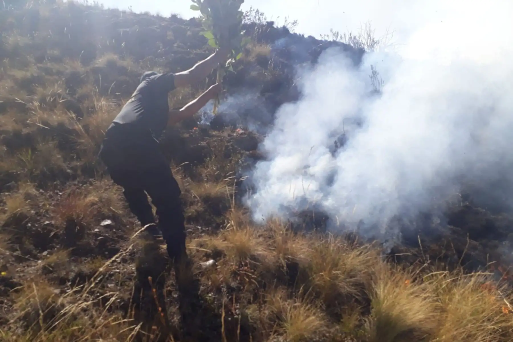 El COER Áncash ha reportado dos incendios forestales en la sierra de la región. Foto: ANDINA/Difusión