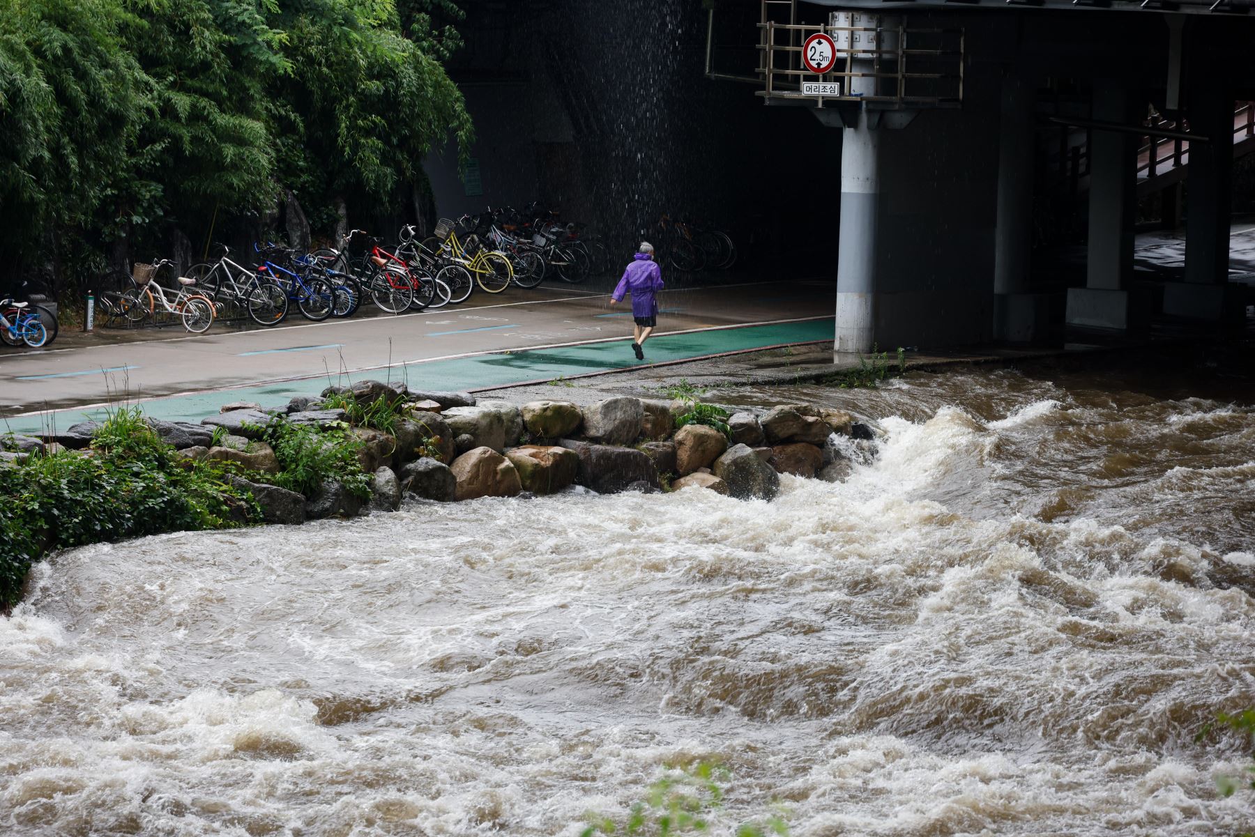 Un hombre camina al lado de un parque inundado en Seúl, Corea del Sur. Según informes de prensa 13 personas están muertas y otras 13 desaparecidas después de que las fuertes lluvias causaron inundaciones en Seúl. 

Foto: EFE
