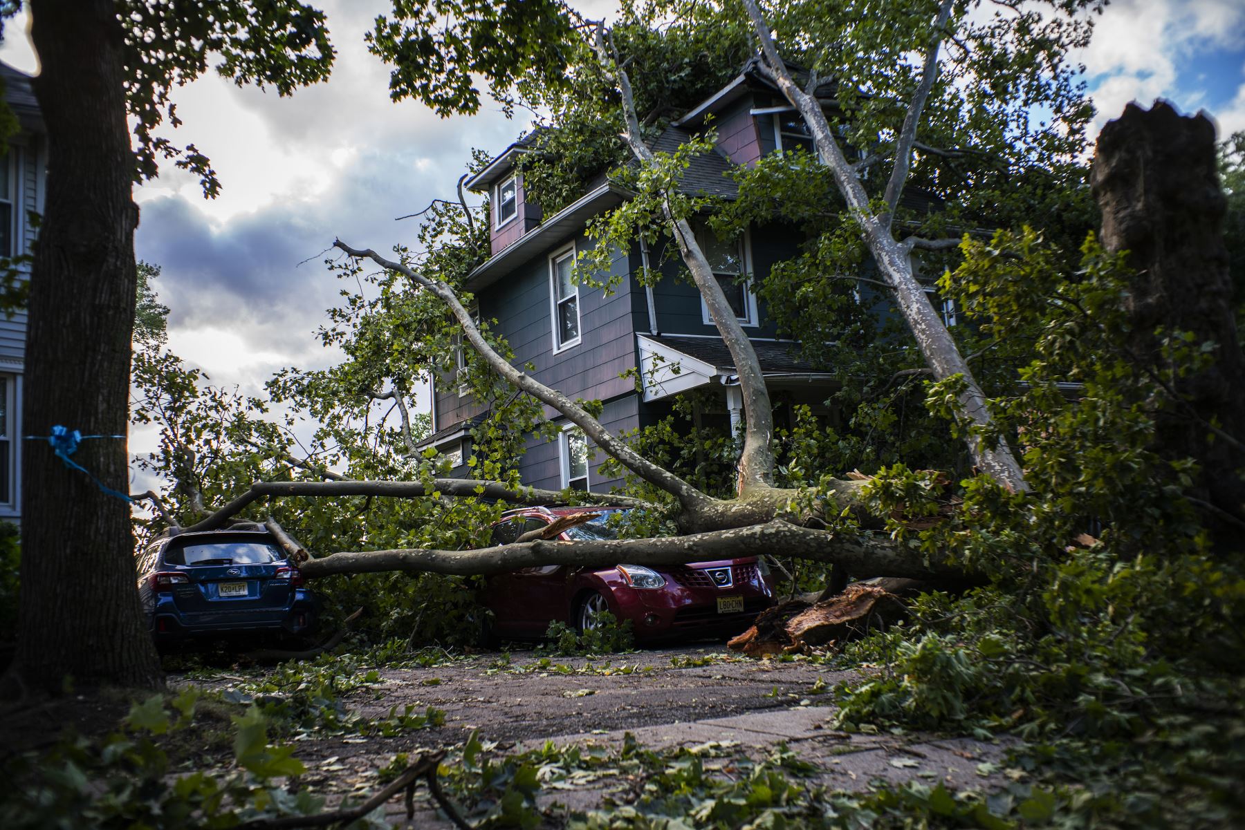 Coches y una casa fueron afectados tras caída de un árbol después de la tormenta tropical Isaias en Nueva Jersey. Foto: AFP