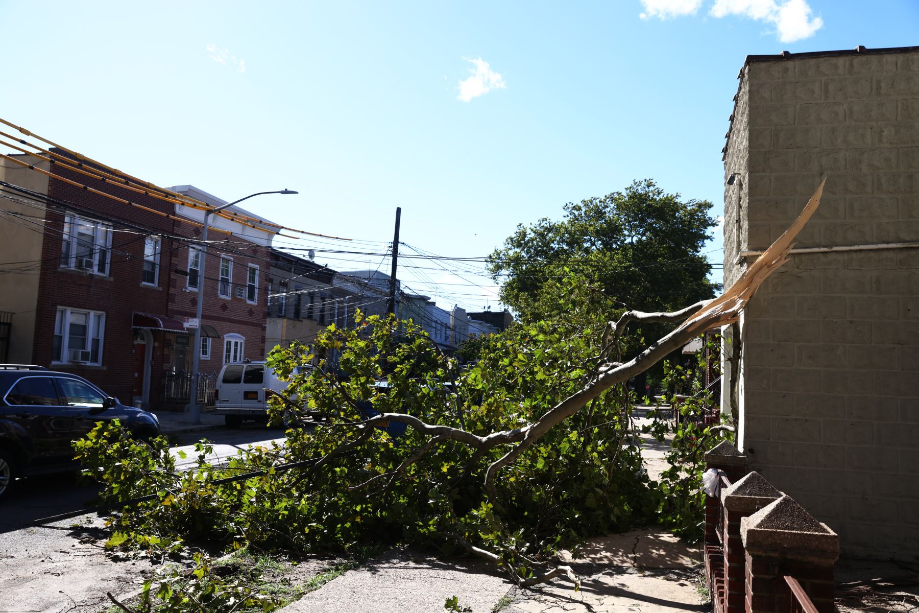 Una árbol caído bloquea una acera y parte de la pista después de la tormenta tropical Isaias pasara por la ciudad de Nueva York. Foto: AFP