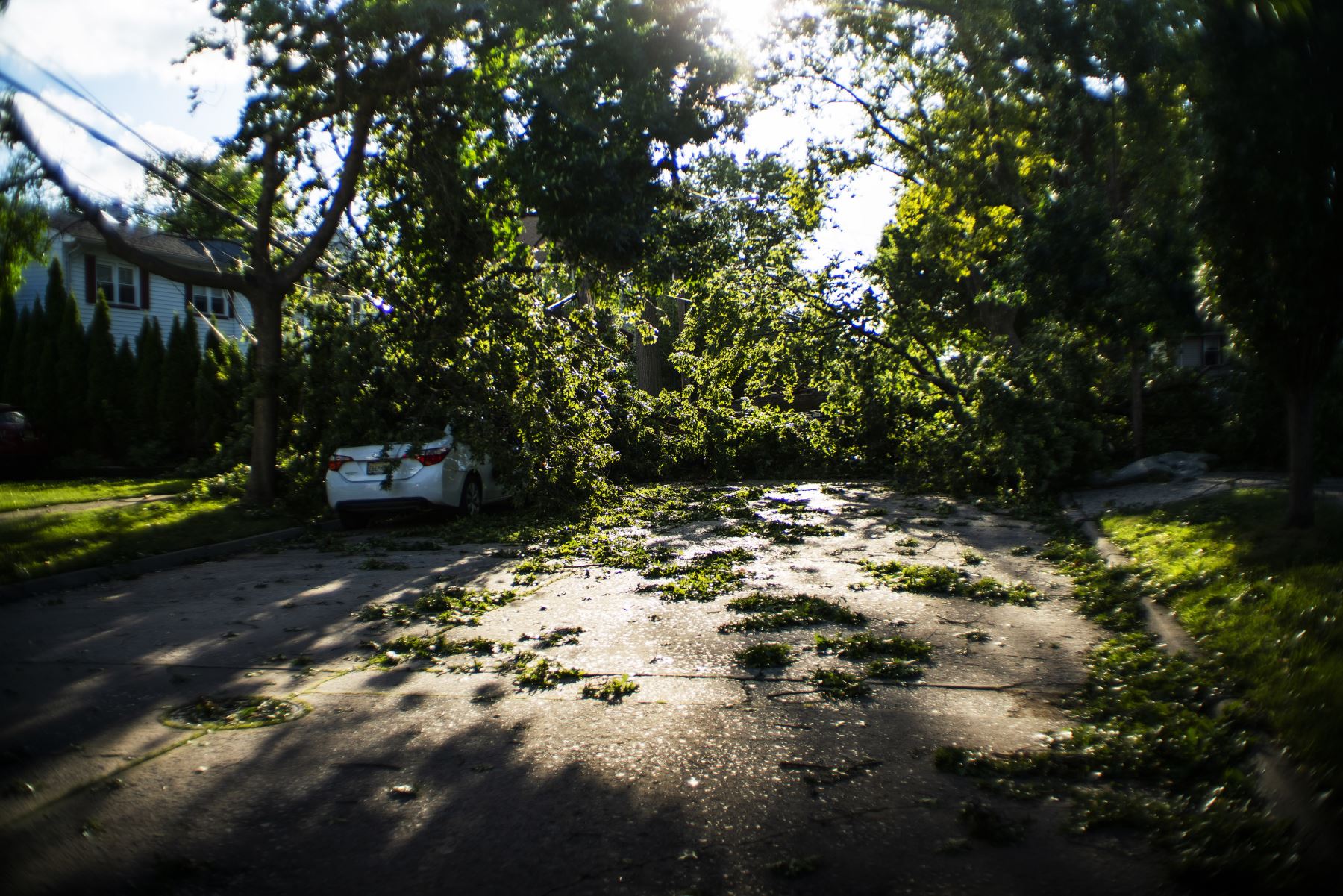 Una calle luce totalmente bloqueada por un árbol caído después de la tormenta tropical Isaias pasaran por  Nueva Jersey. Foto: AFP