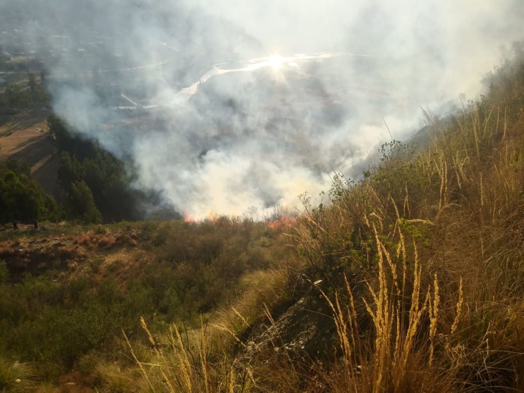 Incendios forestales en Áncash ya superan en 300 % a siniestros reportados el año pasado en el mismo periodo, reveló el COER. Foto: COER Áncash