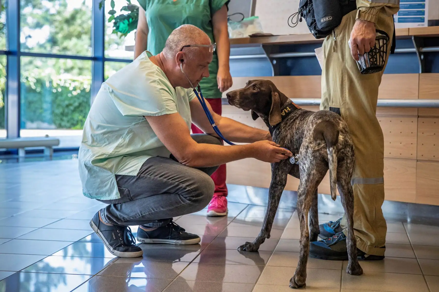 El personal checo de búsqueda y rescate urbano (USAR) con sus perros espera el control de salud del perro en el aeropuerto con rumbo a Beirut para apoyar en las operaciones de rescate.
Foto: EFE