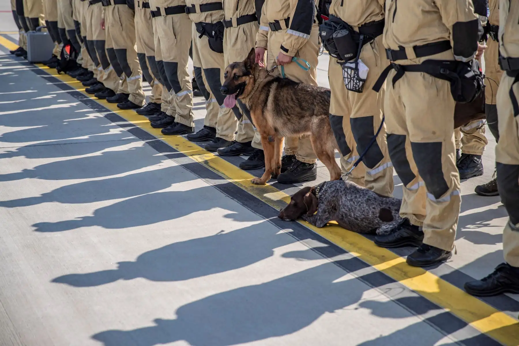 Personal de búsqueda y rescate urbano (USAR) de la República Checa viaja a  Beirut con 37 expertos en búsqueda y 5 perros para apoyar a en los rescates en Beirut tras la explosión que devastó nación de Oriente Medio.
Foto: EFE