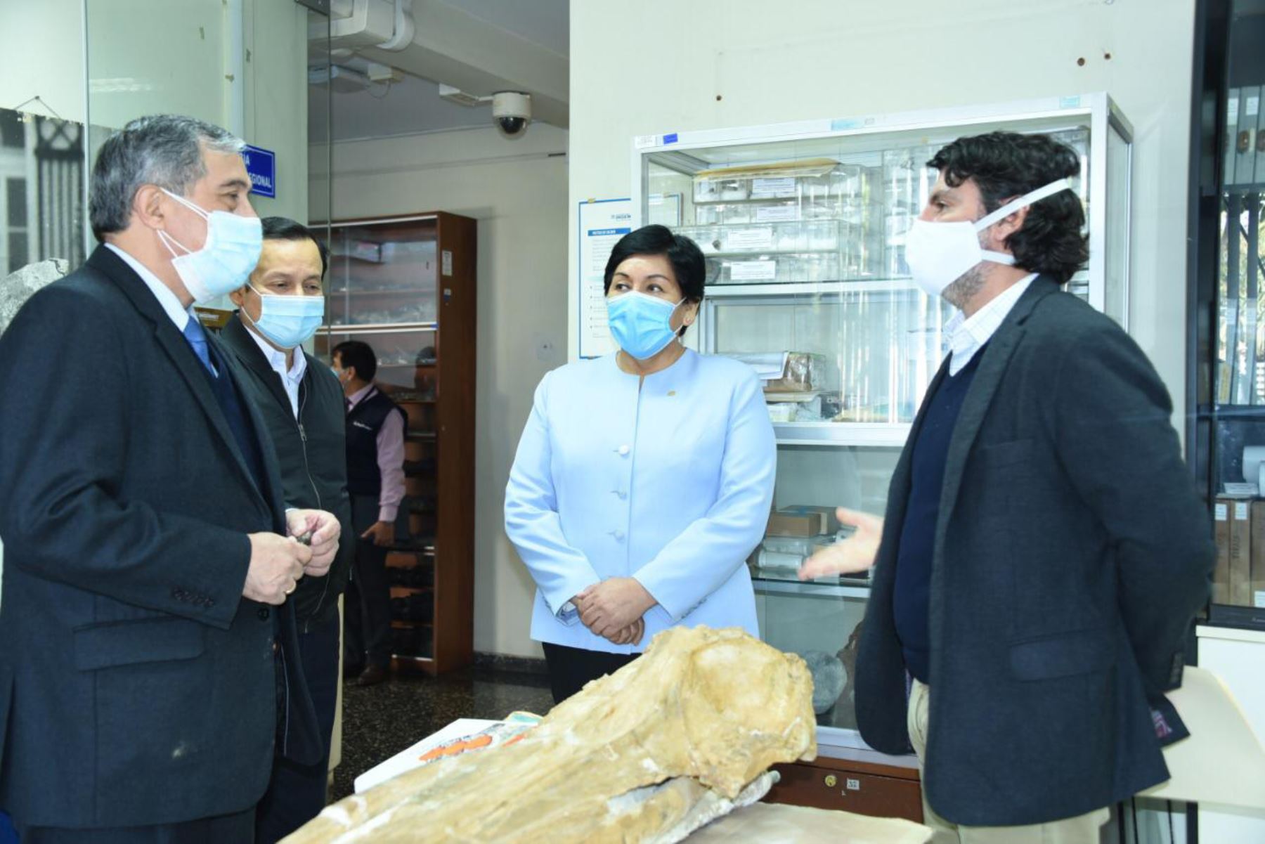 El viceministro de Minas, Augusto Cauti Barrantes, visitó la colección de muestras fósiles del Ingemmet. Foto: ANDINA/Difusión