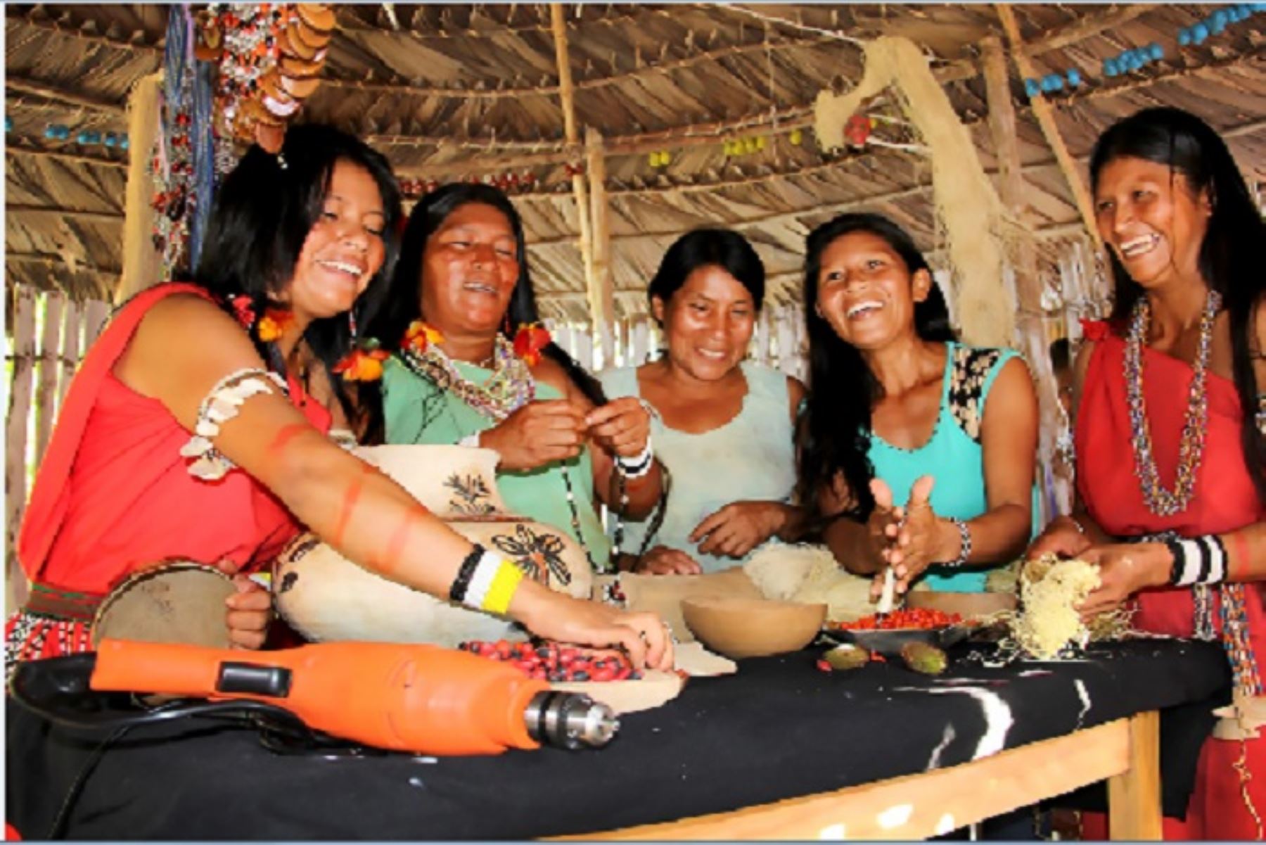 La mayoría de los hogares beneficiados pertenecen a las comunidades indígenas de Loreto.