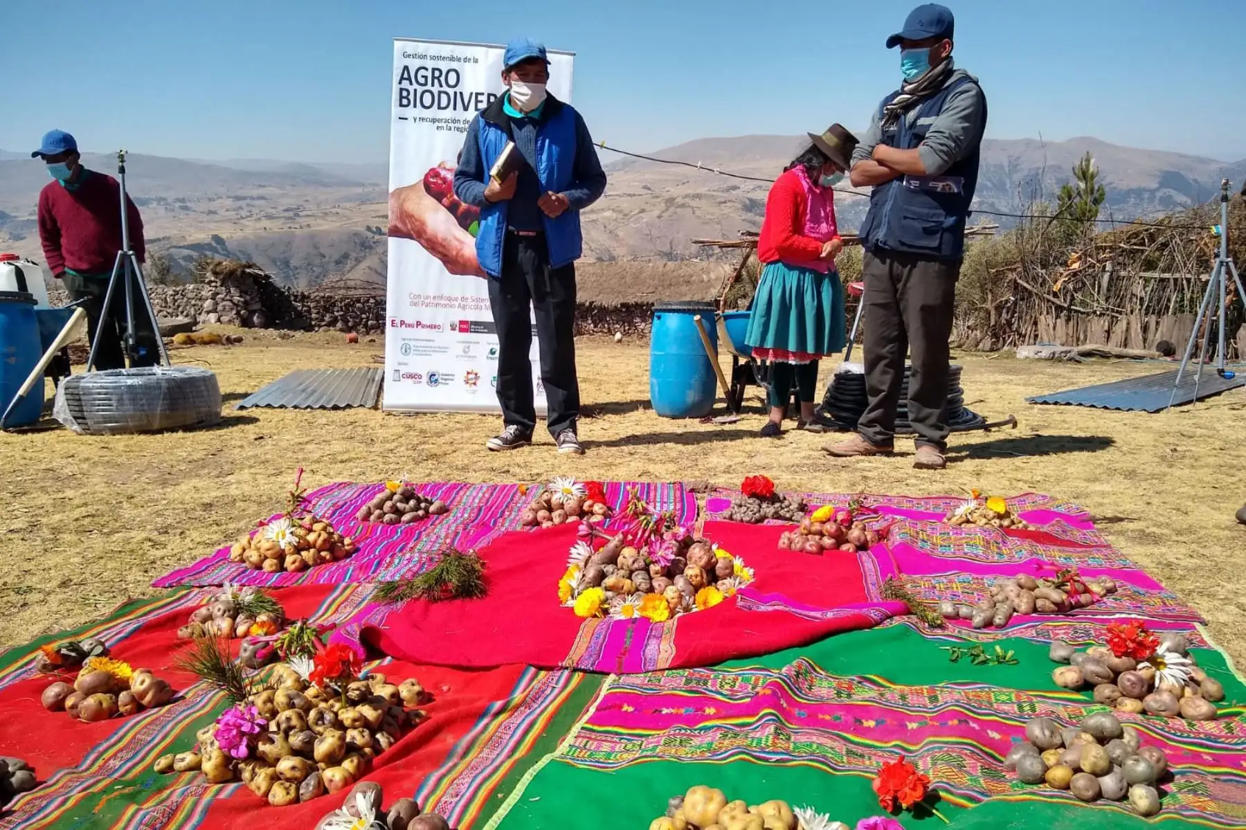 Minam reconoce a más de 3300 familias de productores conservacionistas de nuestra agrobiodiversidad.
Foto: Ministerio del Ambiente