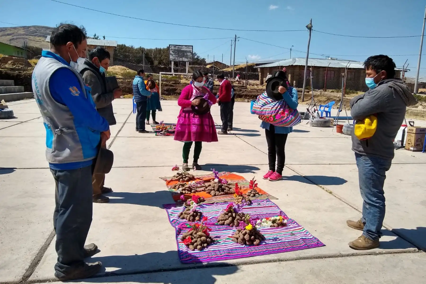 Minam reconoce a más de 3300 familias de productores conservacionistas de nuestra agrobiodiversidad.
Foto: Ministerio del Ambiente