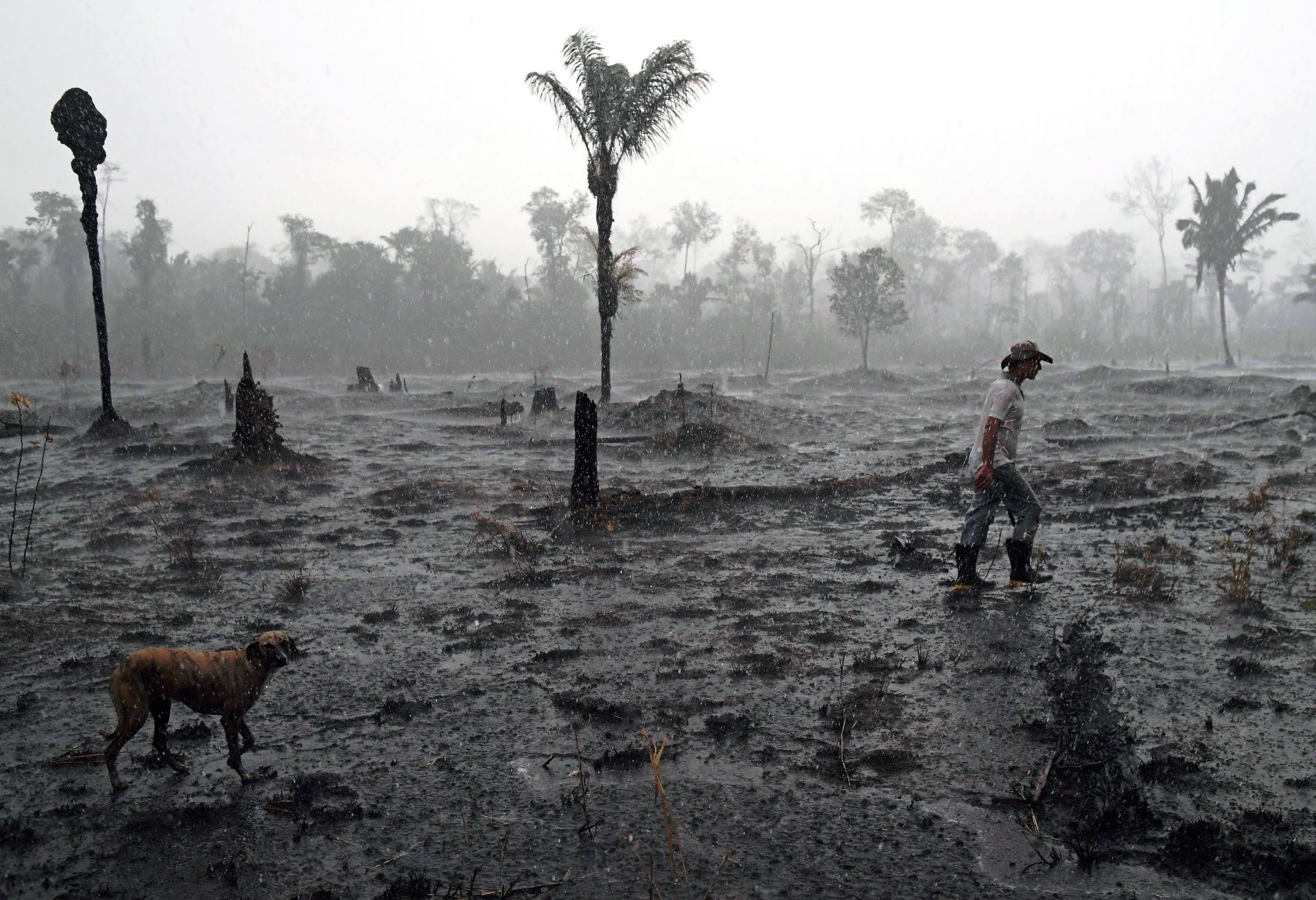 El año pasado, la magnitud de los incendios en la Amazonía brasileña causó conmoción en el mundo entero. Foto: AFP