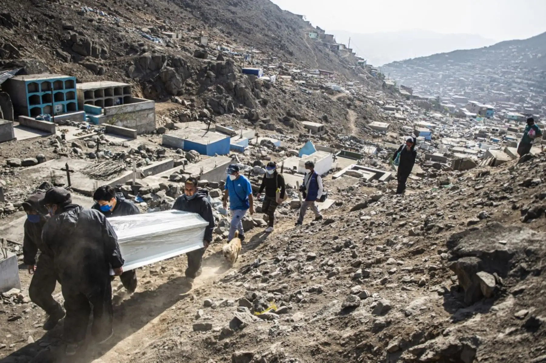 Trabajadores del cementerio llevan el ataúd de una víctima de covid-19 en un cementerio en Comas, en las afueras del norte de Lima. Foto: AFP