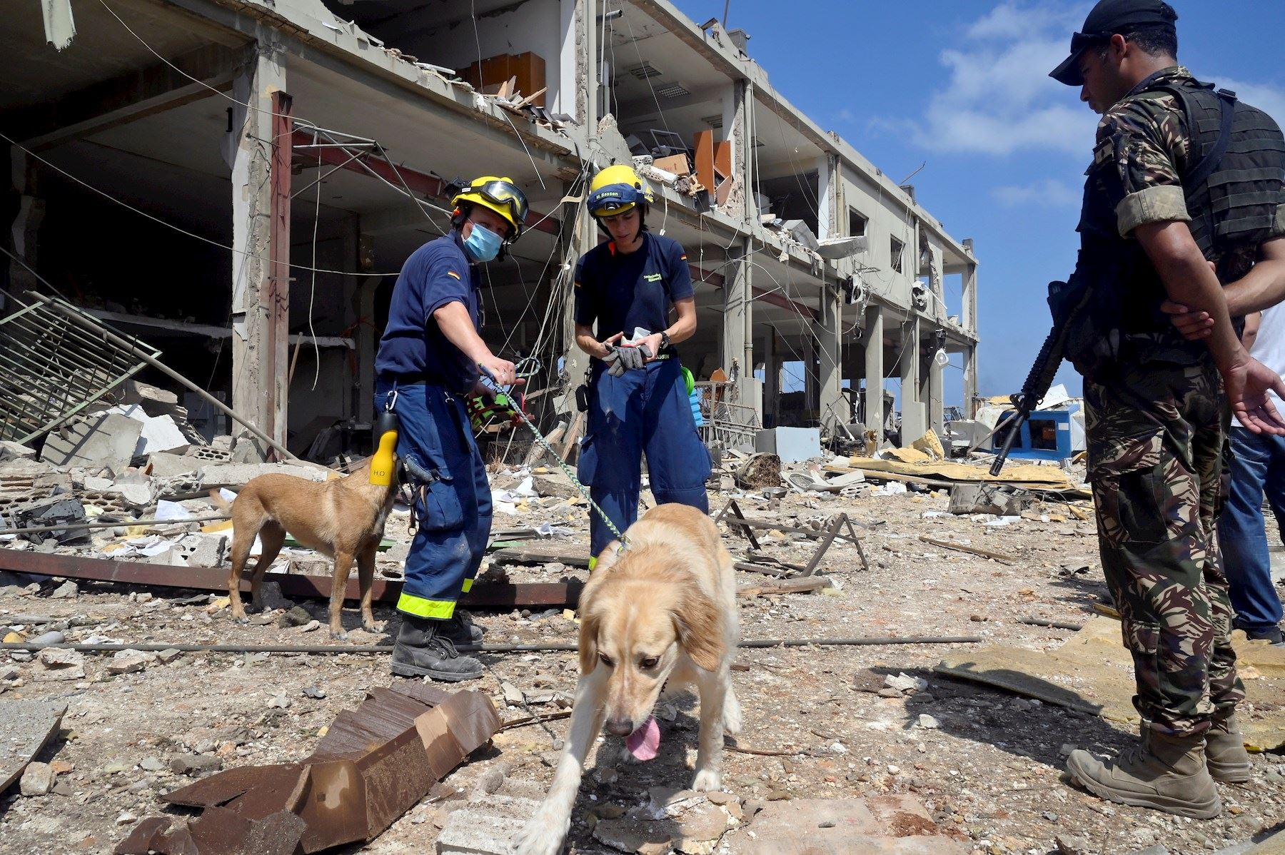 Rescatitas utilizan canes para buscar personas bajo los escombros tras la explosión en el puerto de Beirut. Foto: EFE