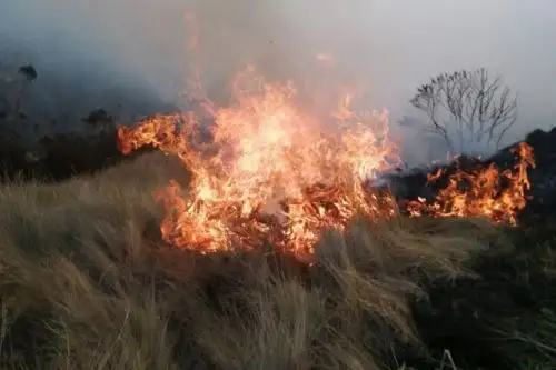 Incendio forestal en distrito de Ocongate, en Cusco, deja 8 muertos y 35 heridos, informó la Policía Nacional. ANDINA/Difusión