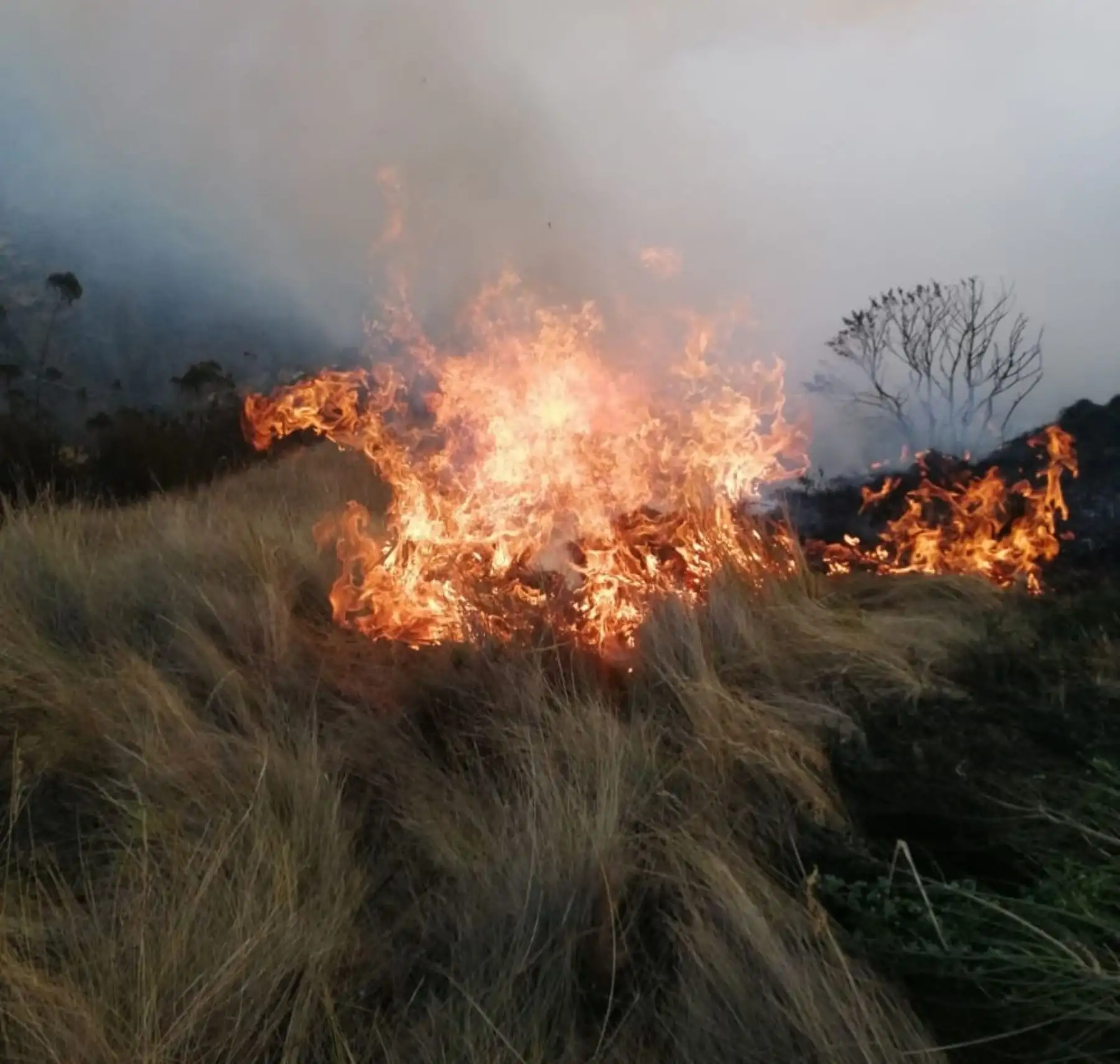 Todas las provincias del departamento del Cusco presentan condiciones medias a muy altas para la ocurrencia de incendios. Foto: ANDINA/Difusión