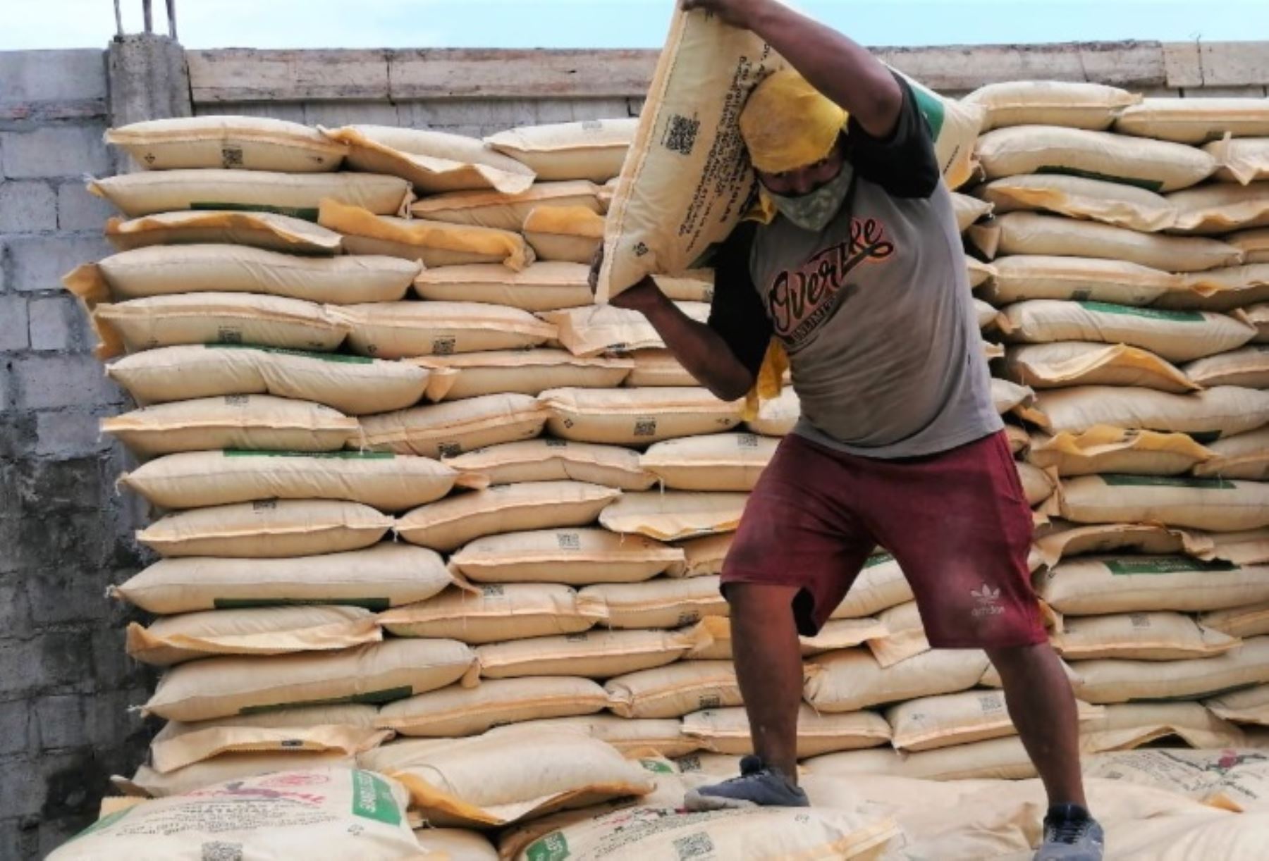 Vraem: Devida adquiere guano de isla para mejorar calidad de cultivos de cacao y café