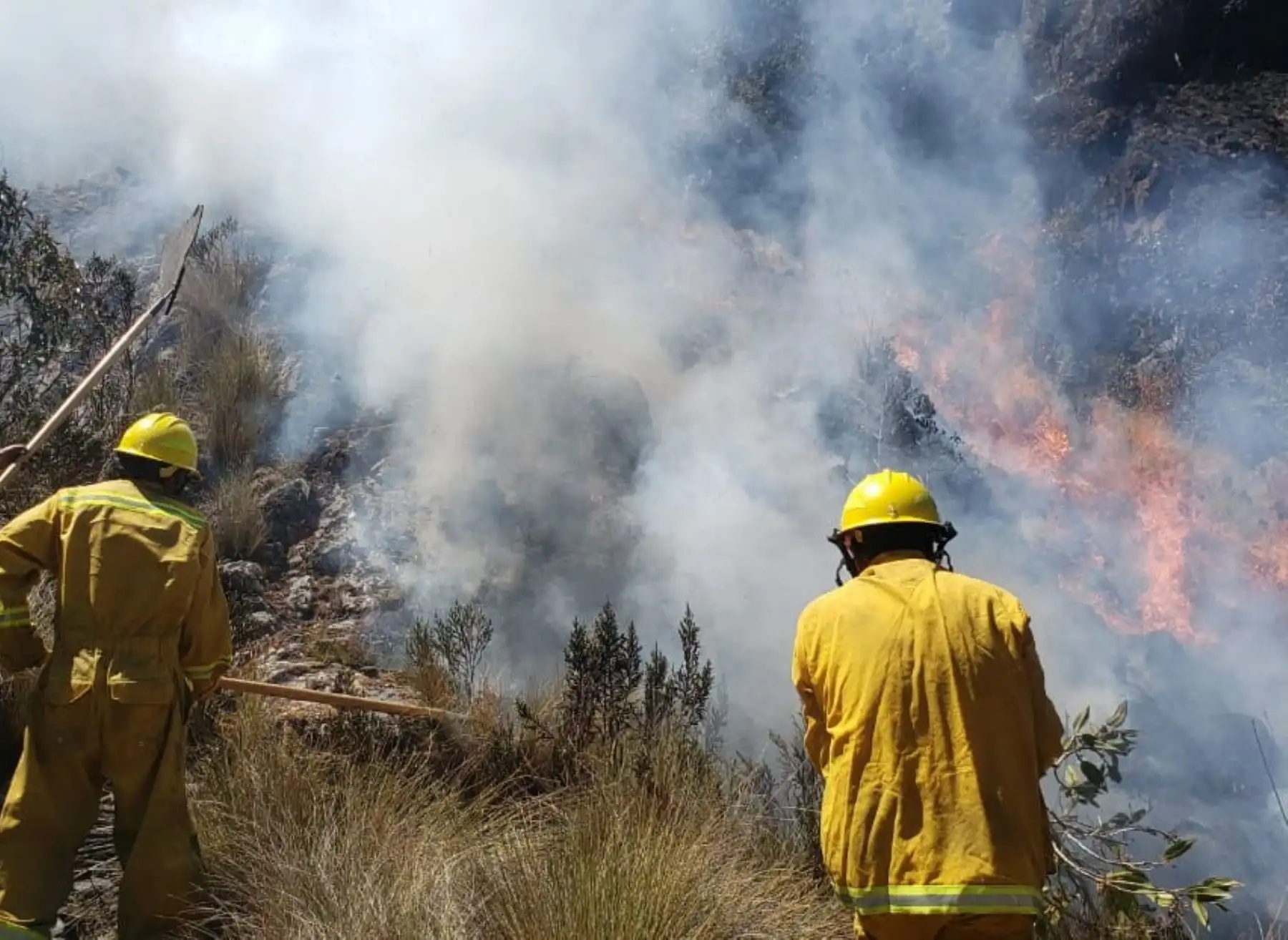 El incremento de la frecuencia de los incendios forestales por causas ambientales y sociales en los Andes y la Amazonía necesita de investigación científica multidisciplinaria, que abarque ámbitos climáticos, sensoramiento remoto de la vegetación y aspectos sociales, sostuvo Ricardo Zubieta,  investigador científico del Instituto Geofísico del Perú (IGP). ANDINA/Difusión