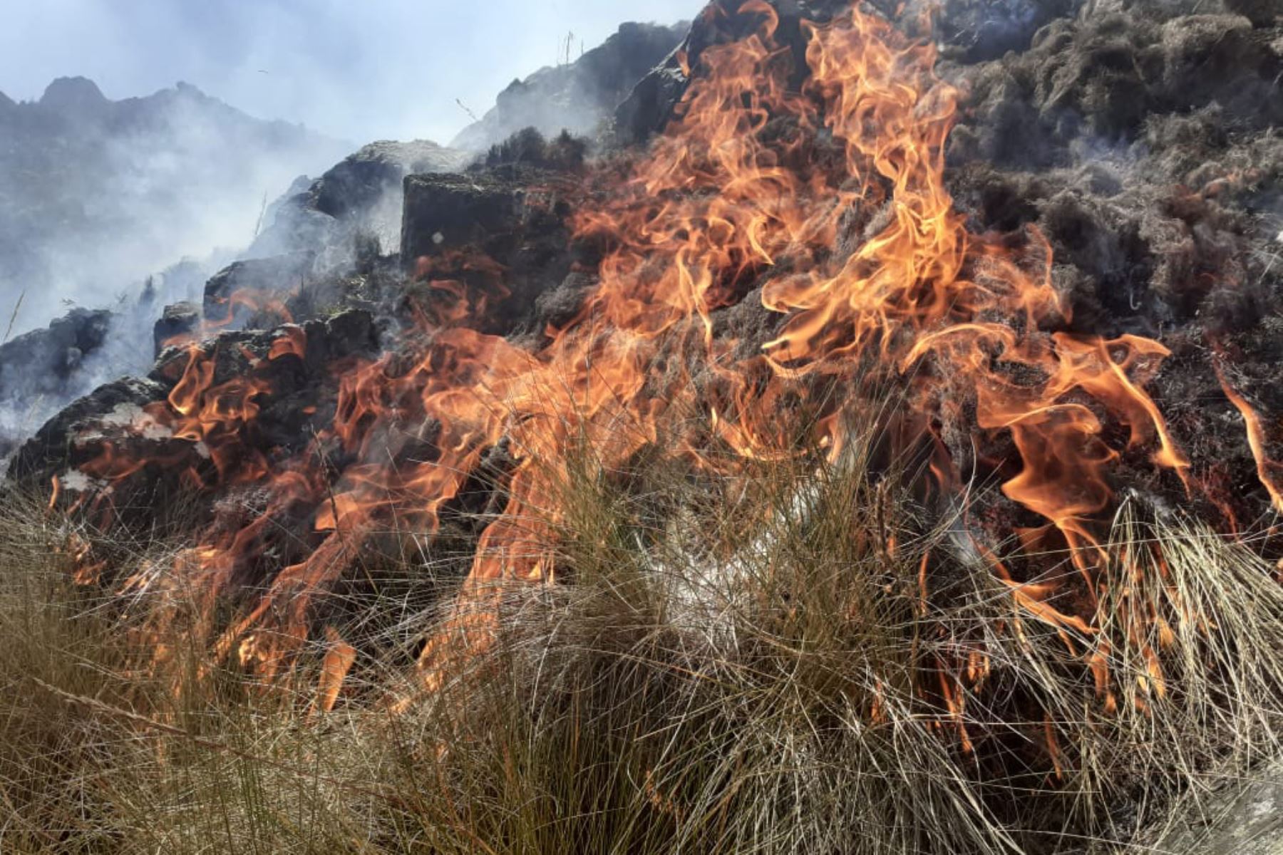 Las quemas agrícolas que se hacen durante esta temporada estacional en regiones de la sierra y selva del país pueden provocar incendios forestales y perjudican la calidad del aire y la del agua, advirtió el Ministerio del Ambiente. ANDINA/Difusión