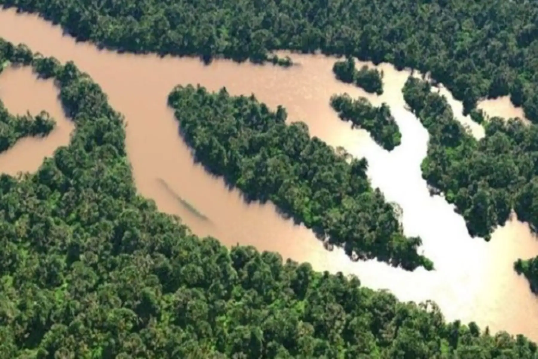La pandemia ha abierto una inesperada ventana de oportunidades para edificar un futuro más limpio, verde, saludable y amigable con el ambiente para dejar atrás la explotación insostenible de los recursos de la Tierra. Foto: ANDINA/Minam