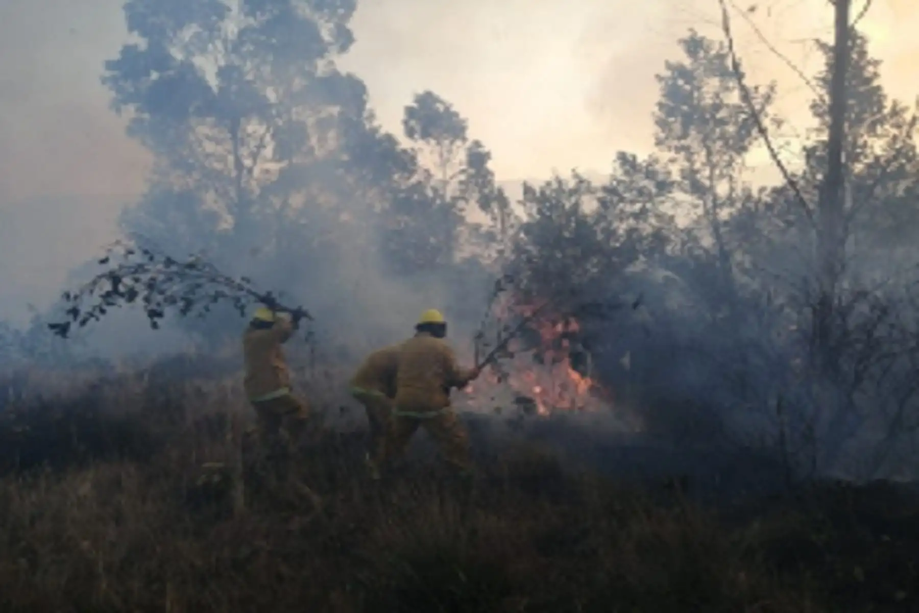 Áncash: controlan incendio forestal debajo del nevado Huascarán