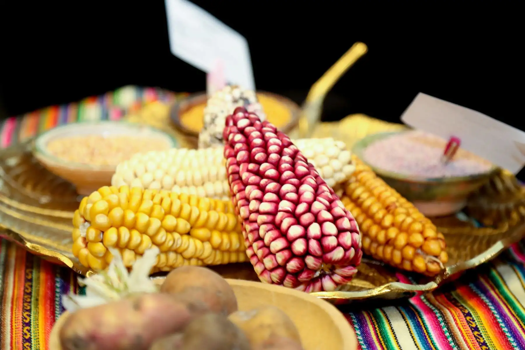 La inclusión en el menú escolar de productos altamente nutritivos, ricos en hierro o potenciadores por su absorción, sería un importante reconocimiento a miles de familias de agricultores, afirmó el director general de Diversidad Biológica del Minam, José Álvarez. Foto: ANDINAMinam