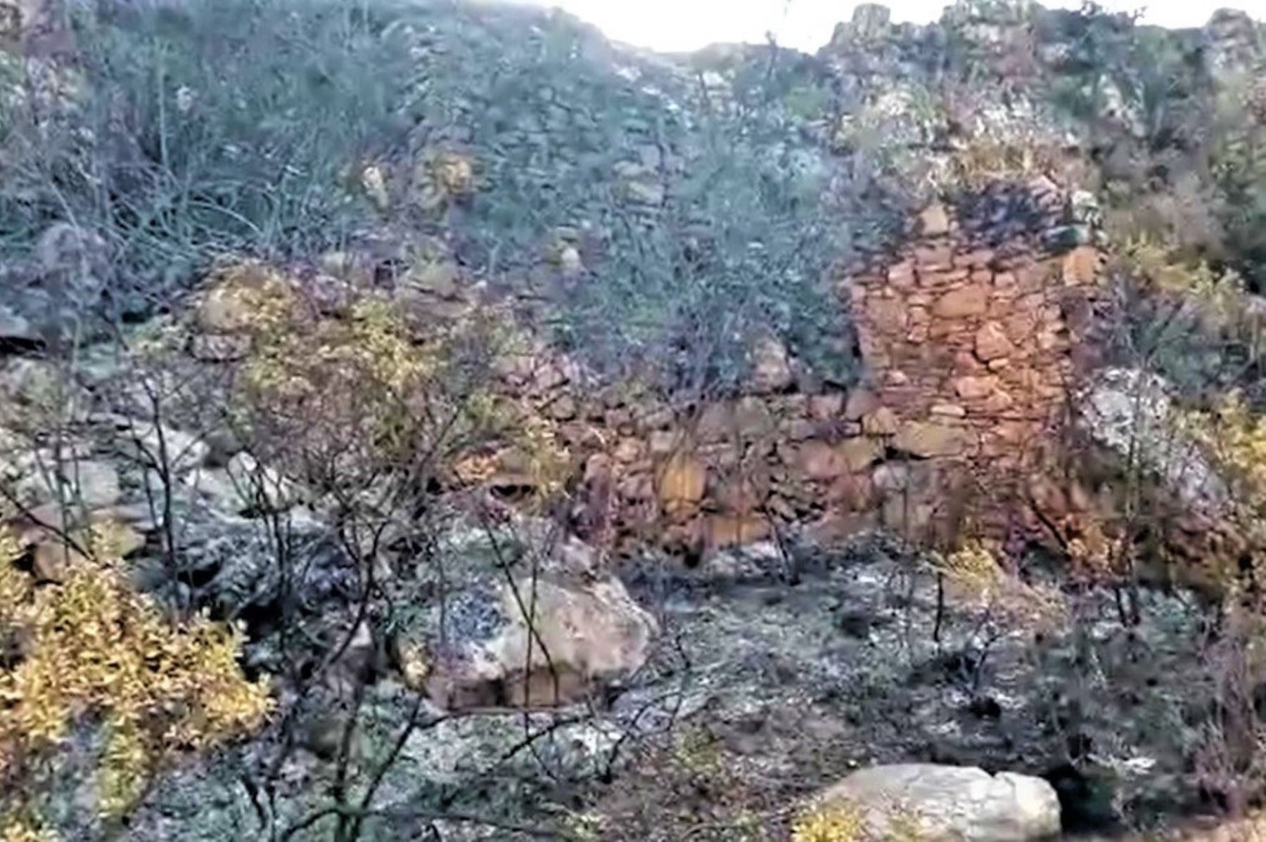 Incendios forestales en Áncash afectaron entorno de sitios arqueológicos. ANDINA/Difusión