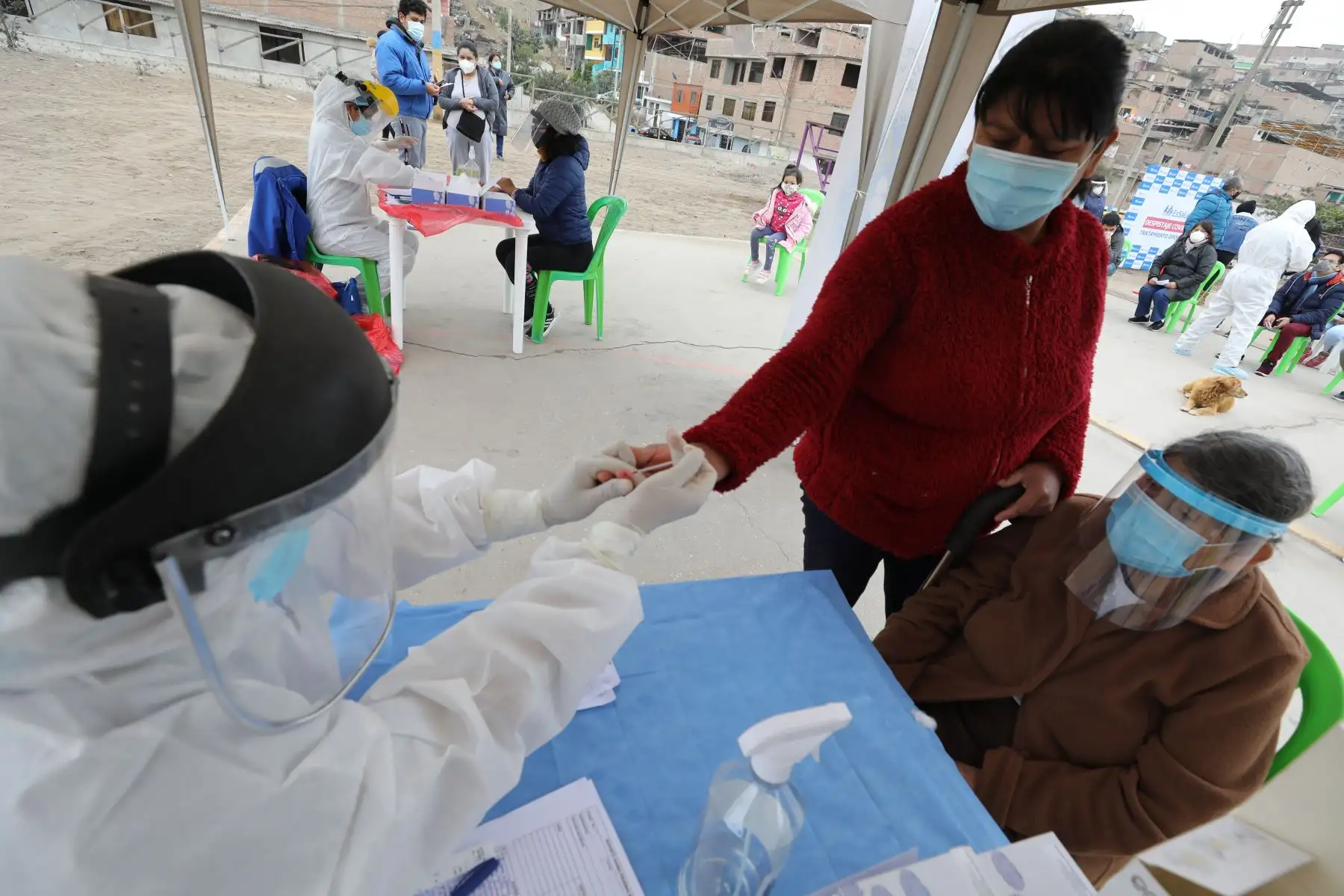 EsSalud realizó 500 pruebas rápidas para descarte de Covid-19 en Villa El Salvador.
Foto:ANDINA/Essalud