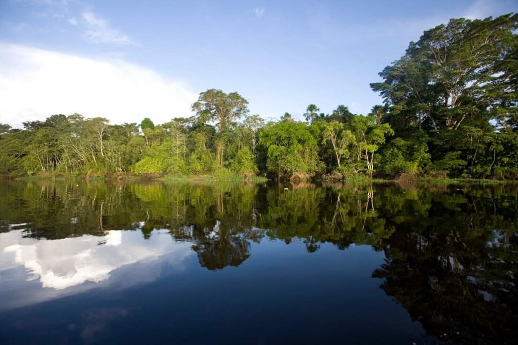 El cambio climático constituye un desafío para la sostenibilidad de la Amazonía y por esa razón, el Perú ha creado recientemente la Comisión de Alto Nivel de Cambio Climático. Foto: ANDINA/Minam