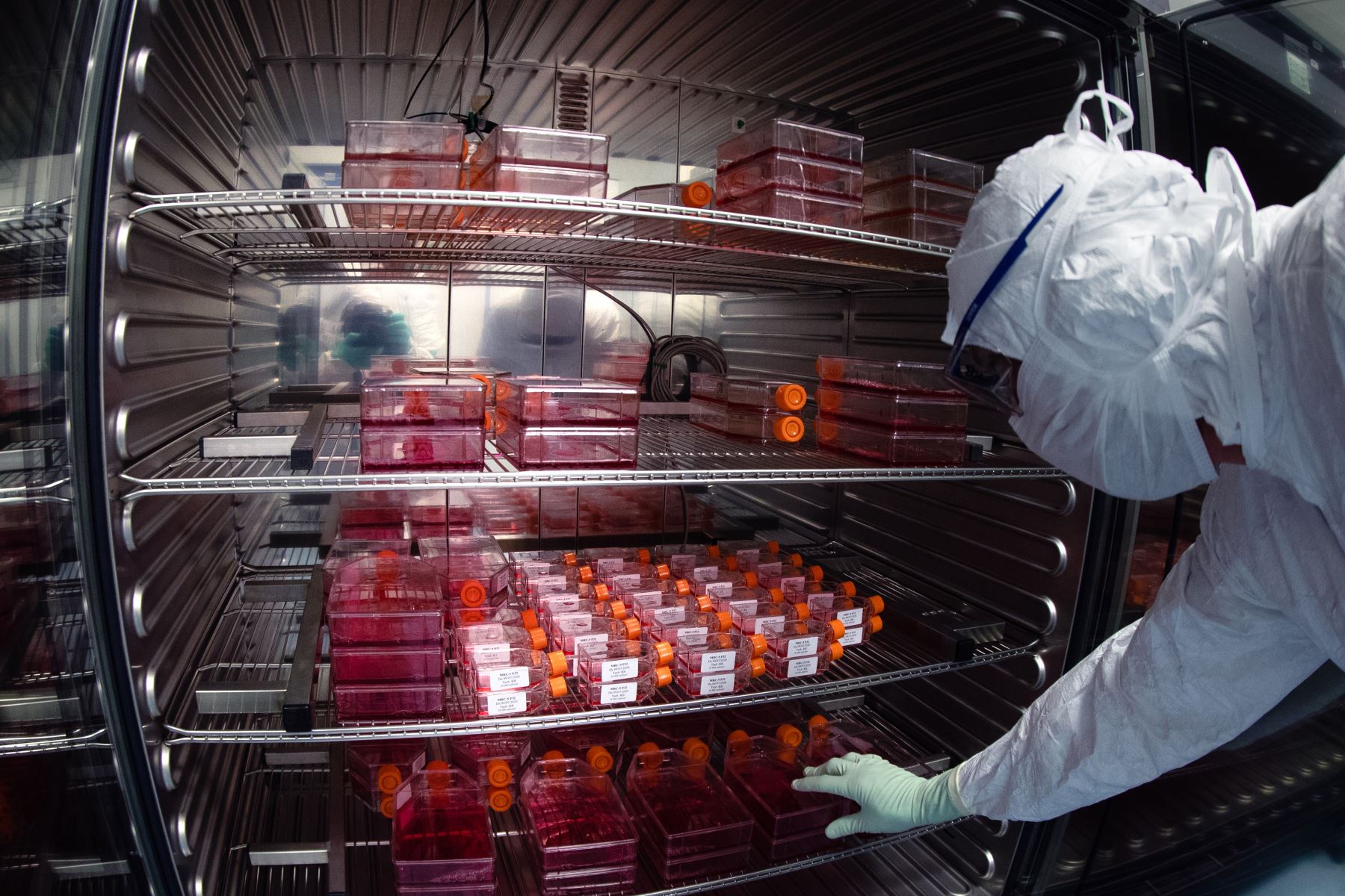 Un técnico de laboratorio que usa equipo de protección personal toma frascos de reactivos para realizar pruebas de vacunas en el laboratorio de la compañía farmacéutica Sanofi en Val de Reuil, Francia. Foto: AFP