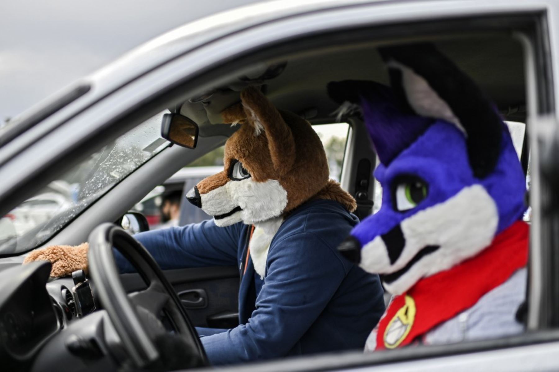Personas disfrazadas ven una película desde un automóvil en un autocine instalado en el hipódromo Hermanos Rodríguez de la Ciudad de México, en medio de la pandemia del nuevo coronavirus.

Foto:AFP