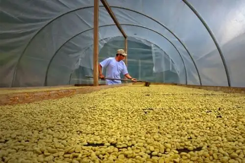 Estos módulos de secado solares ayudarán a mejorar los atributos y las características del café como la acidez, amargor, cuerpo, aroma, dulzor y sabor. Foto: ANDINA/Difusión