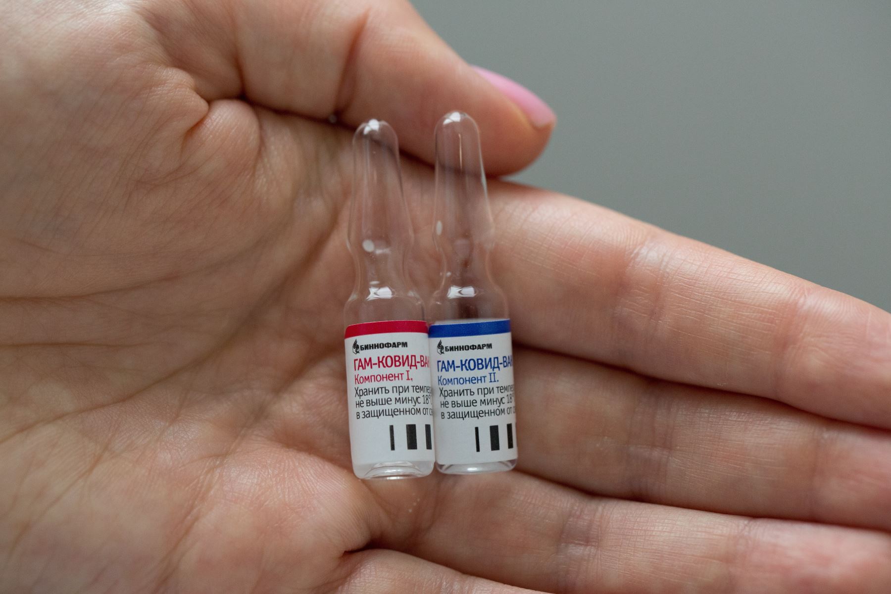 La vacuna rusa no figuraba entre las seis que, según señaló la OMS la semana pasada, estaban más avanzadas. Foto: EFE