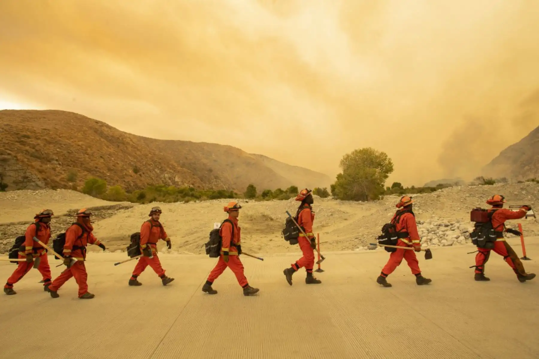 Bomberos llegan a la escena del incendio forestal en Whitewater, California. Foto: AFP