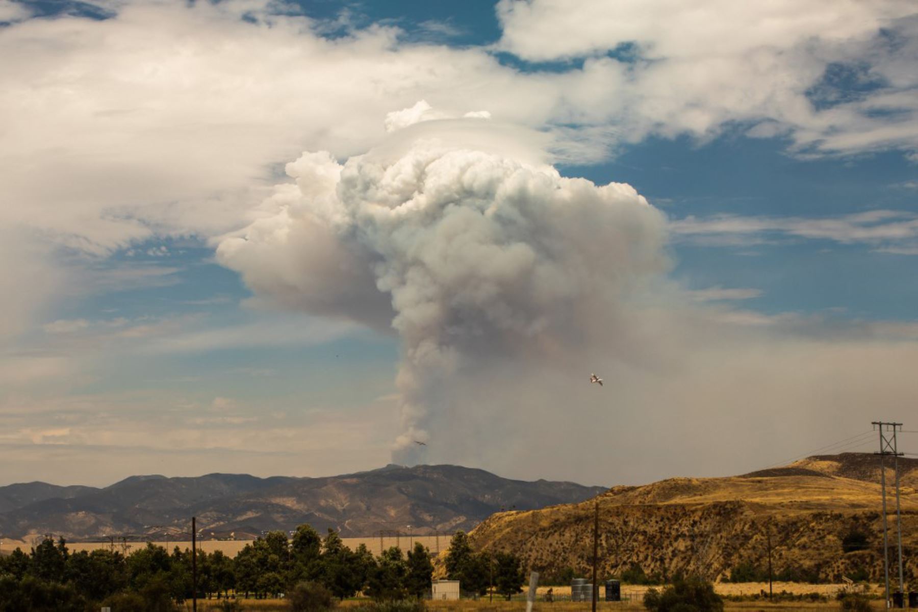 La columna de humo del Lake Fire en el Bosque Nacional de Ángeles se ve desde Castaic, California. Foto: AFP
