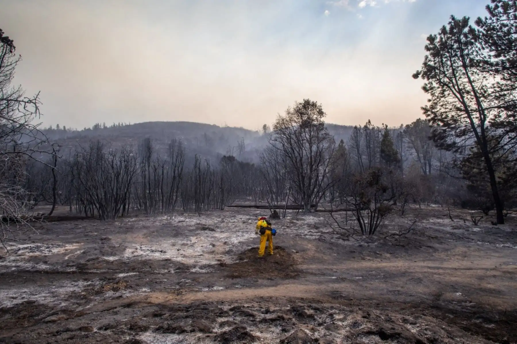 Un bombero trabaja para extinguir un punto de acceso del Lake Fire en Pine Canyon Road en el Bosque Nacional de Ángeles. Foto: AFP