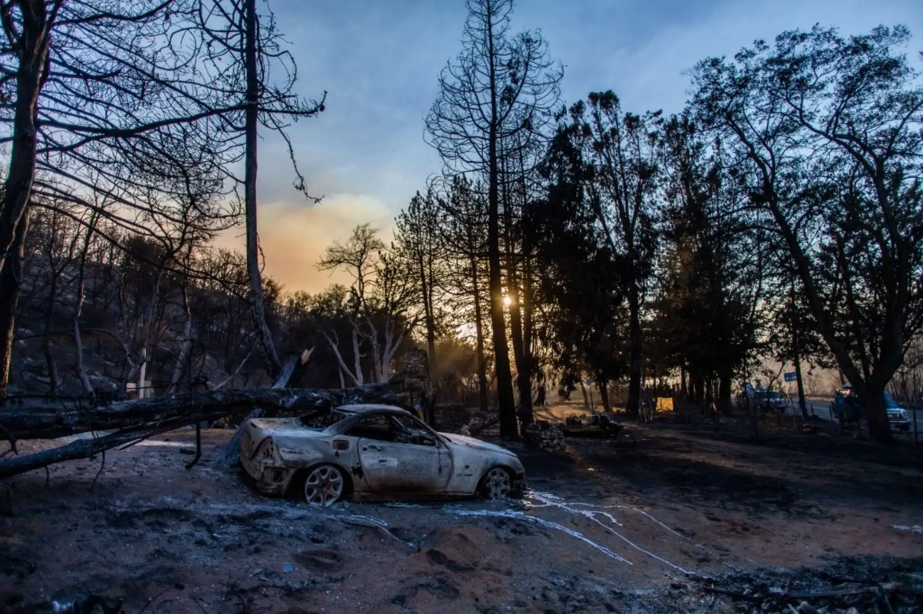Un automóvil carbonizado se ve en Pine Canyon Road en el bosque nacional de Ángeles. Foto: AFP