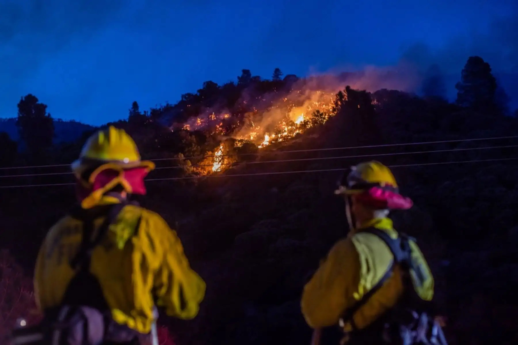 Los bomberos trabajan para extinguir las zonas de fuego del Lake Fire en Pine Canyon Road en el Bosque Nacional de Ángeles. Foto: AFP