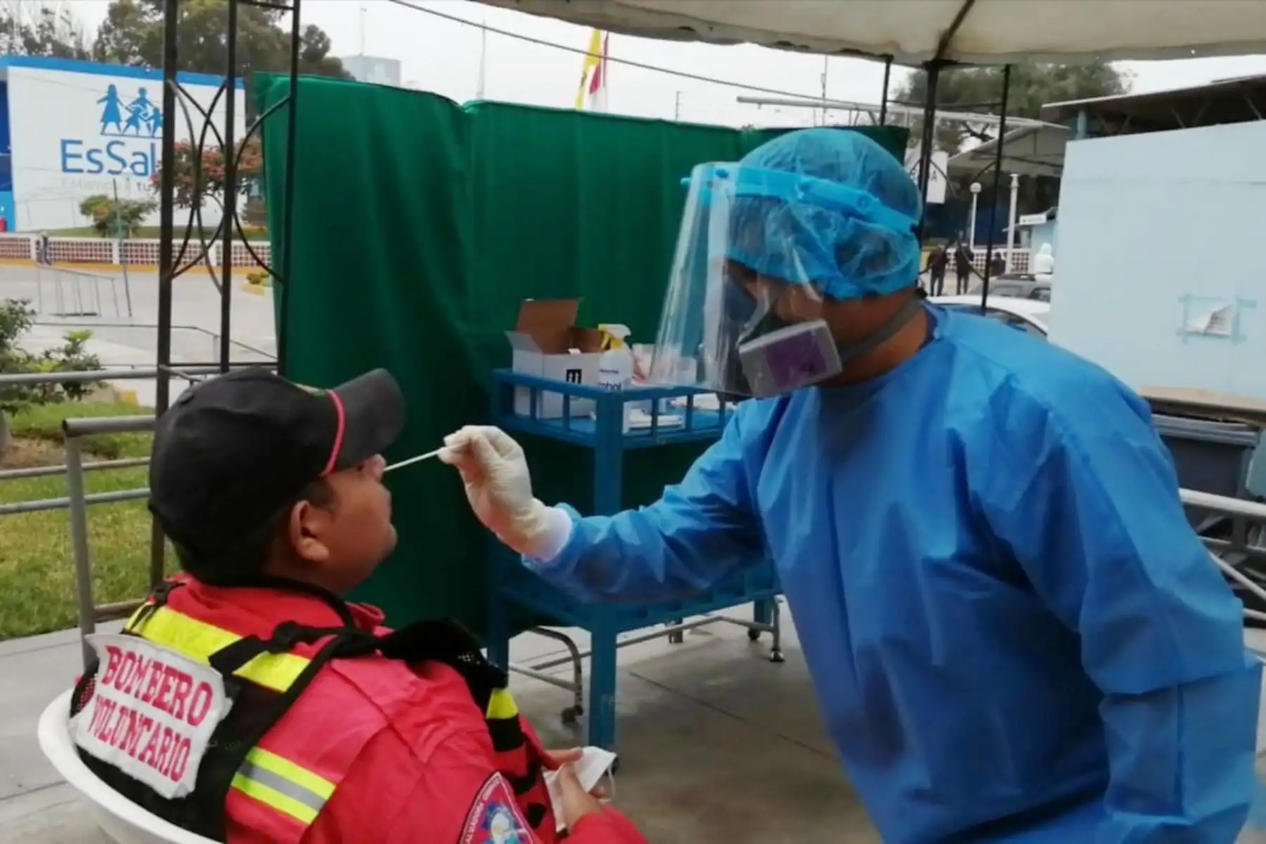Las pruebas moleculares fueron aplicaron a 35 hombres de rojo del Santa (Áncash) y los resultados se tendrán en cinco días. Foto: ANDINA/Difusión