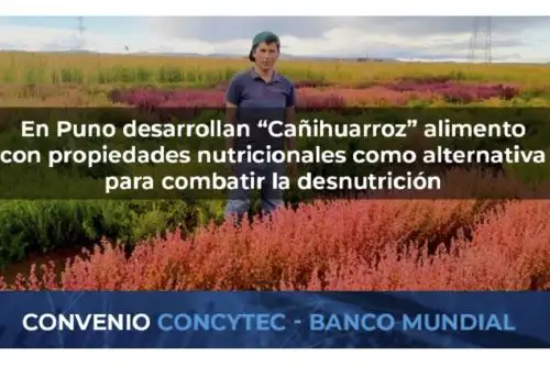 ANDINA/Difusión