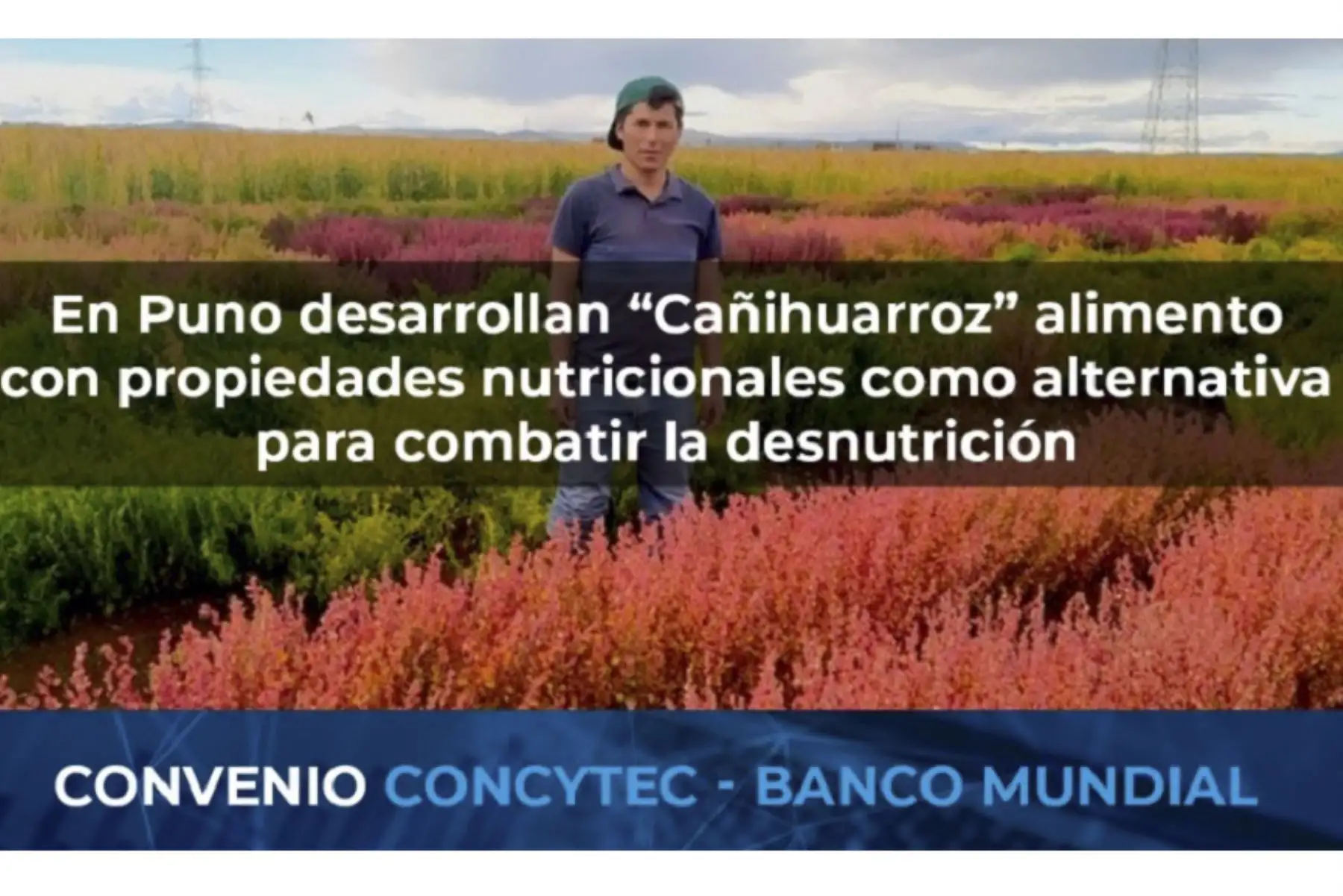 ANDINA/Difusión