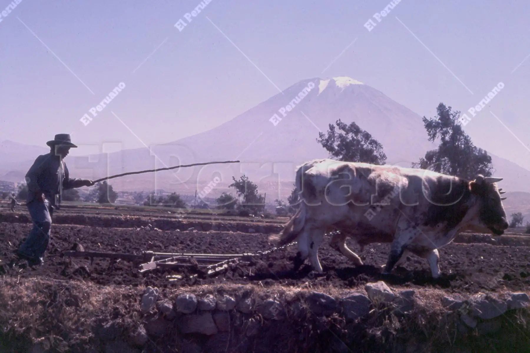 Arequipa, 1975. Campesino al pie del Misti. Foto: Archivo Histórico de El Peruano
