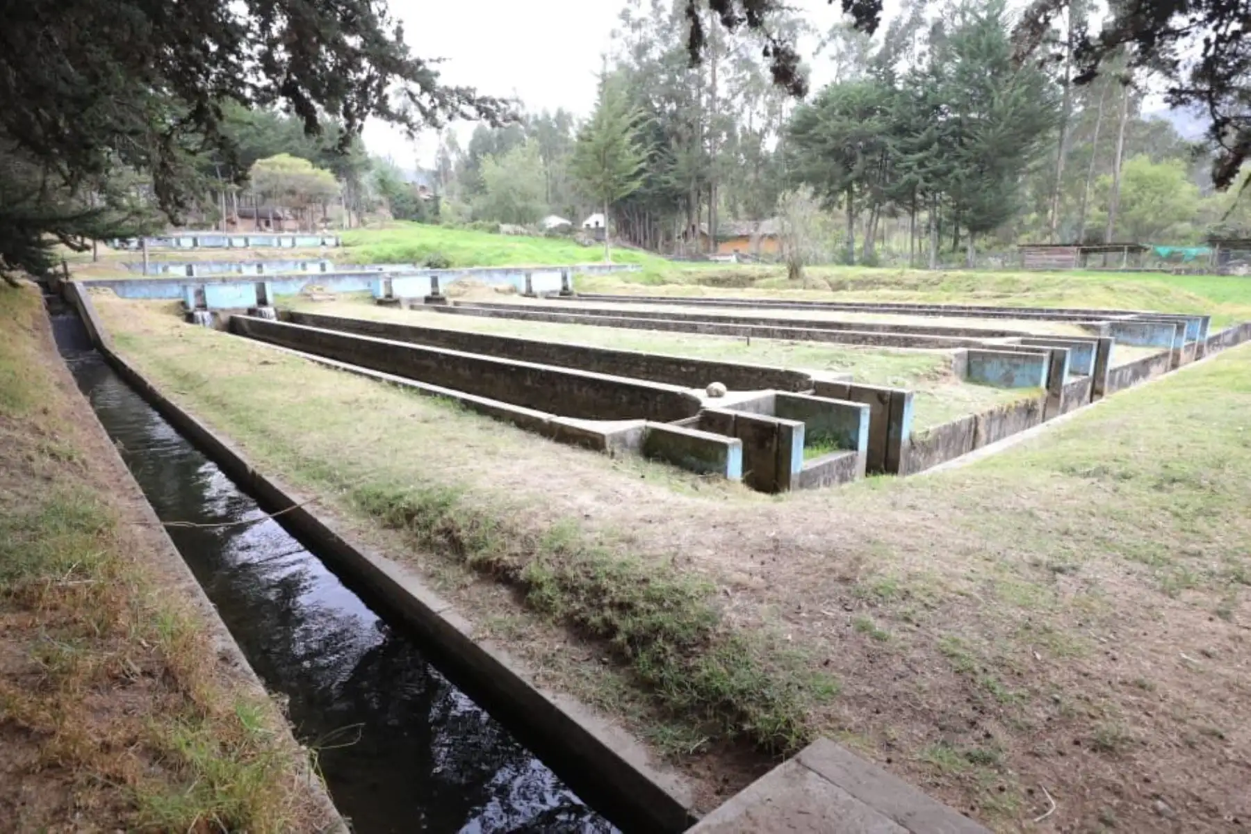 El ministro de la Producción, José Salardi, visitó piscigranja “El Paraíso” de Namora, en Cajamarca, donde sus autoridades y pobladores solicitaron financiamiento para su mantenimiento, a través del Fondo Nacional de Desarrollo Pesquero (FONDEPES). Lo acompañó el gobernador regional de Cajamarca, Mesías Guevara. de Foto: Produce