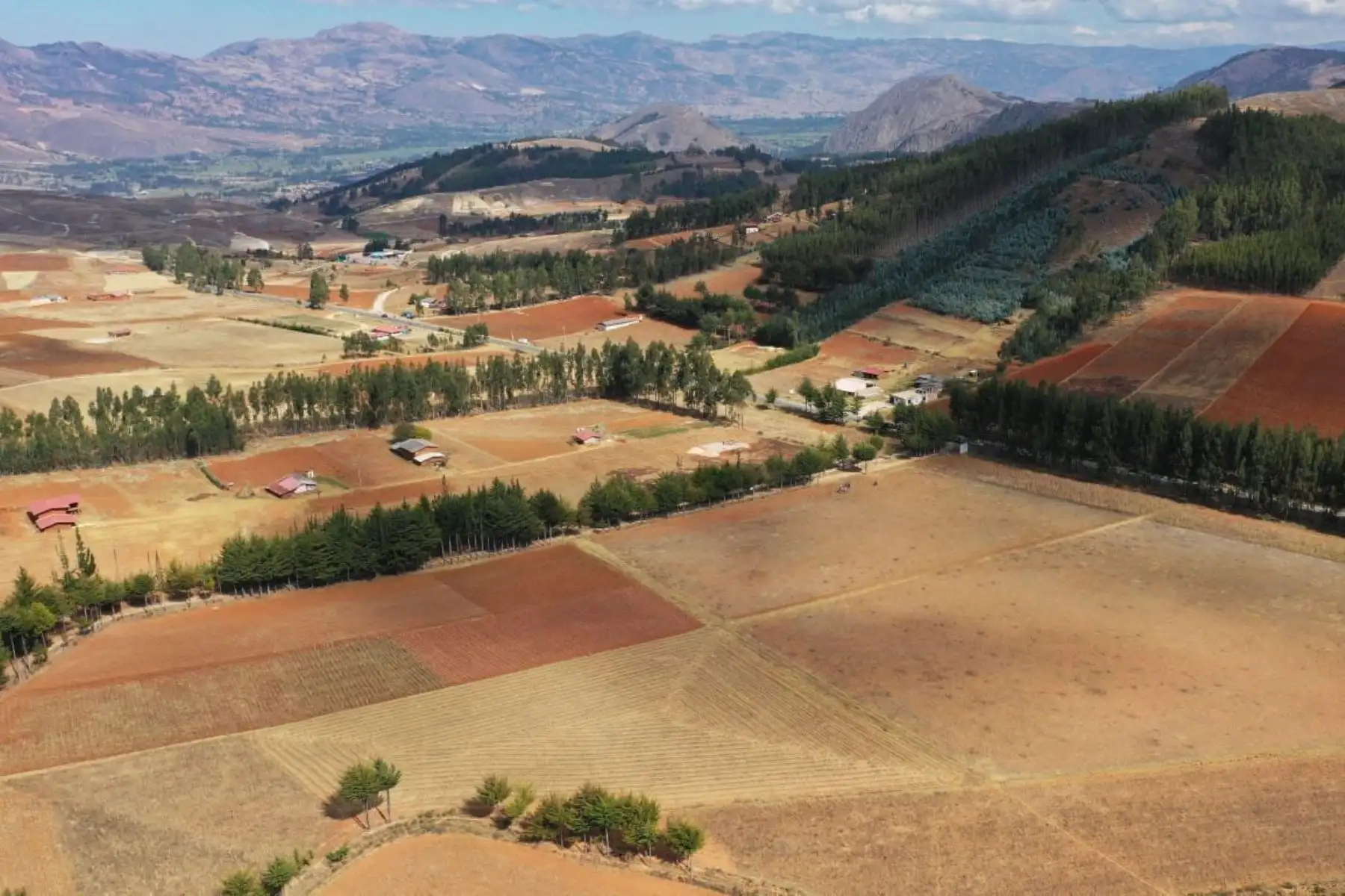 El ministro Salardi también visitó el terreno de cuatro hectáreas en el que se proyecta construir el CITEmadera del Instituto Técnológico de Produccion que transformará la realidad industrial de Cajamarca, permitiendo la diversificación productiva y el fomento de la industria forestal y agroindustrial. Foto: @Jose_SalardiR