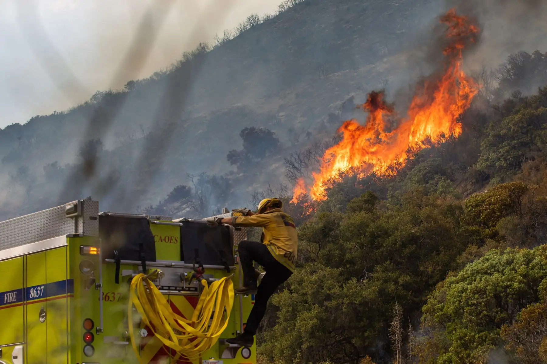 Los bomberos trabajan para apagar el incendio del lago en el Bosque Nacional, junto al lago Hughes, a 60 millas al norte de Los Ángeles, California. Foto: AFP