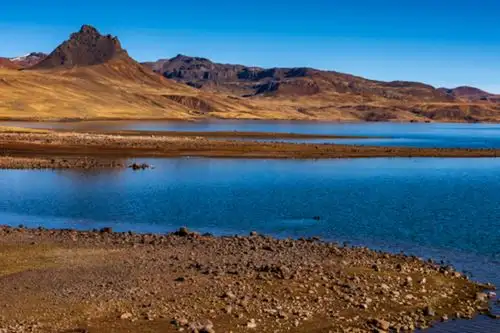 Los mecanismos de retribución ecosistémicos surgen de acuerdos voluntarios que establecen acciones de conservación, recuperación y uso sostenible para asegurar la permanencia de los ecosistemas. Foto: ANDINA/Minam