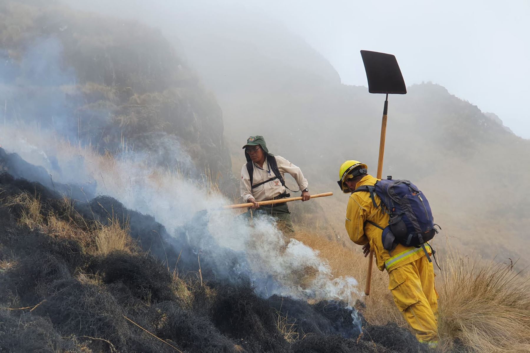 Bomberos forestales y brigadistas lograron control el incendio forestal que afectó miles de hectáreas de cobertura natural en provincia de Quispicanchi, en Cusco. ANDINA/archivo
