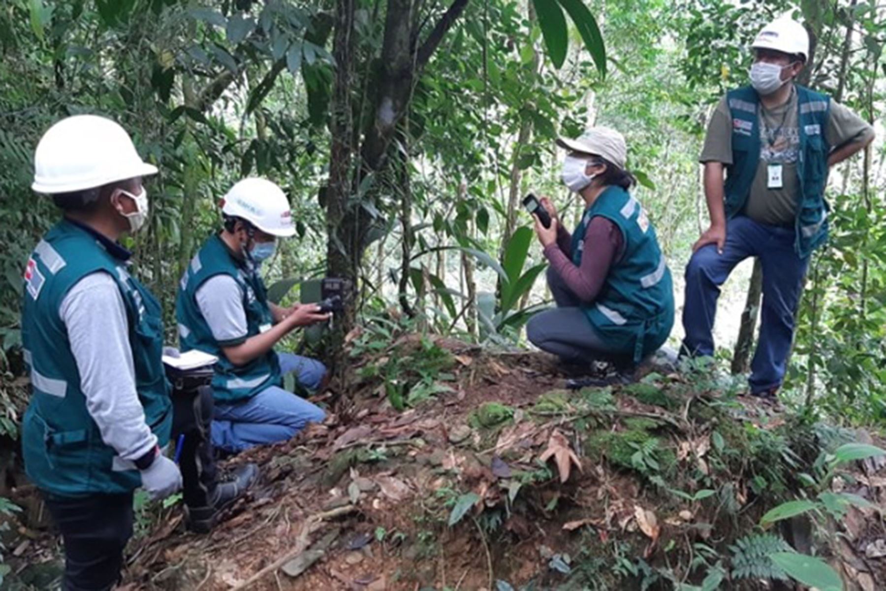 Servir inicia diagnóstico de conocimientos a gestores forestales y ...