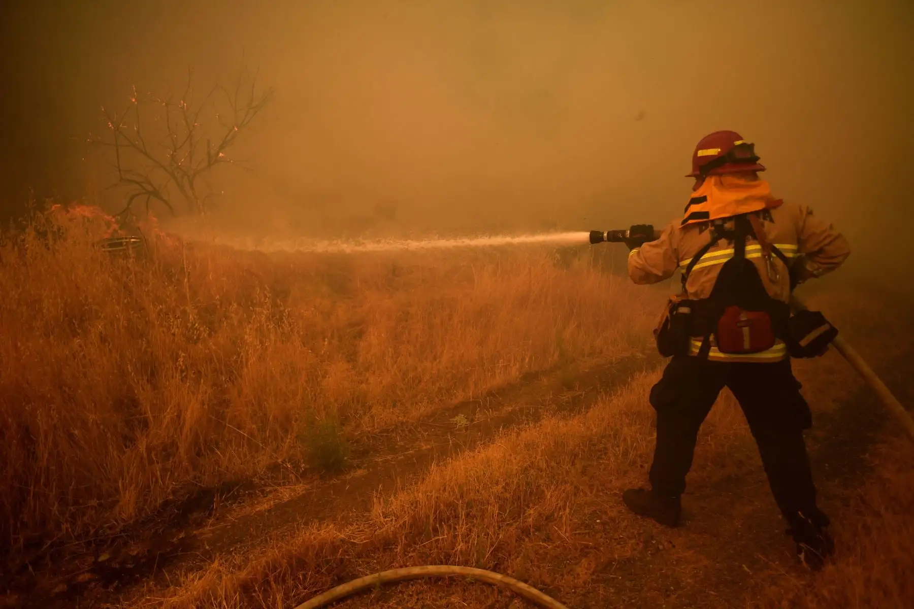 Los bomberos intentan extinguir el incendio de Hennessey cerca de Vacaville, California, EE. UU.
Foto: EFE
