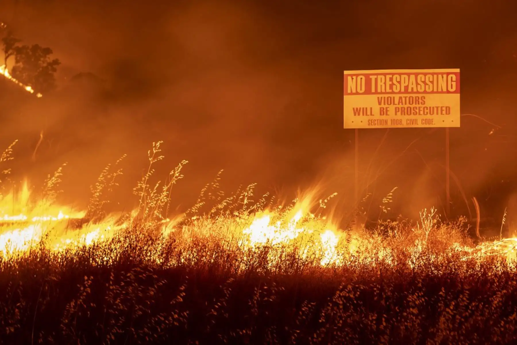 Las llamas del incendio del Complejo Relámpago LNU corren a través de un campo en Winters, Californi. Miles de personas huyeron de sus hogares en el norte de California mientras cientos de incendios forestales de rápido movimiento se extendían por la región, quemando casas y liderando a la muerte de un piloto de helicóptero.

Foto: AFP